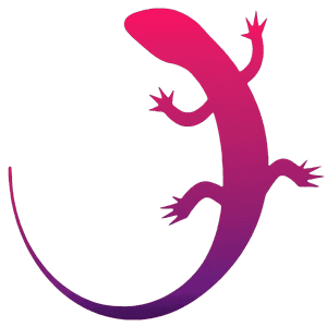 Category Image