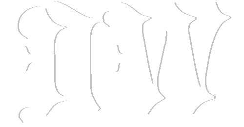 DW.内核